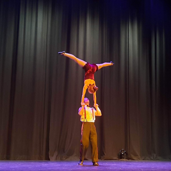 Black Sheep Circus - Circus Company - Waikato