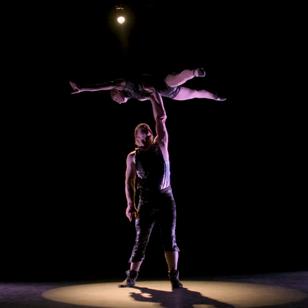 Black Sheep Circus - Circus Company - Waikato