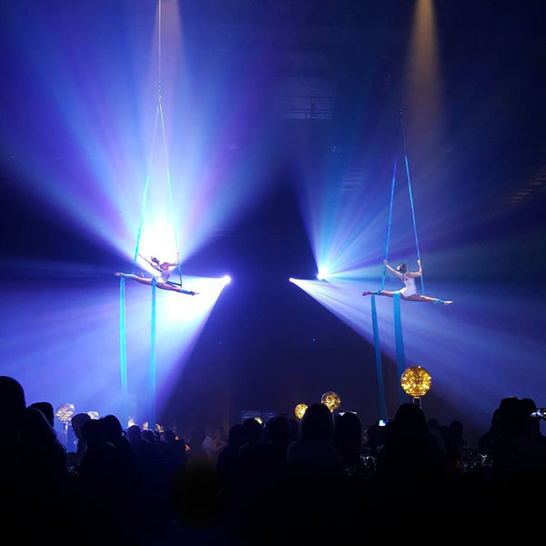 Colossal Circus Wellington aerial silk duo performance