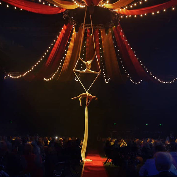 Colossal Circus Wellington silks