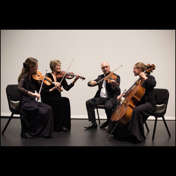 Stella Strings Quartet - Hamilton