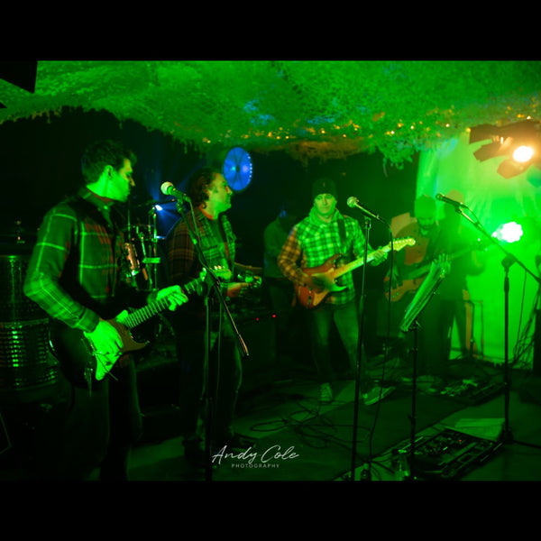 Black Lagoon Wanaka covers band playing live