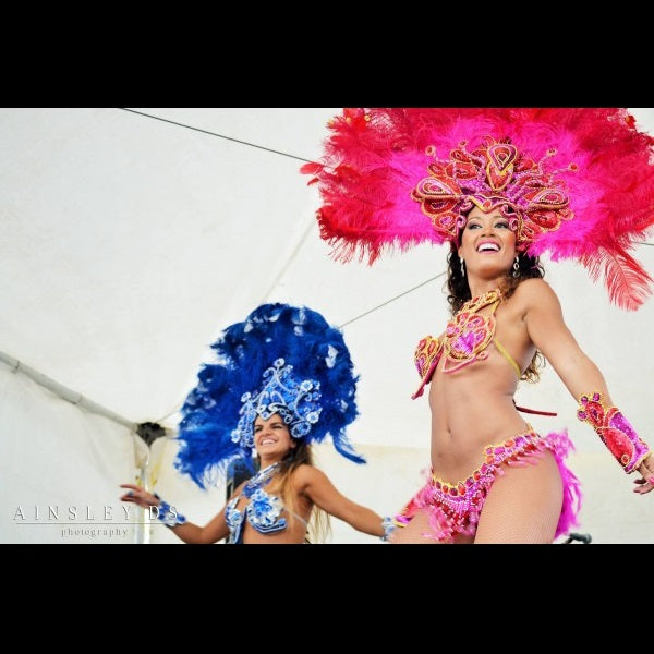 live performance pink and blue feather costume