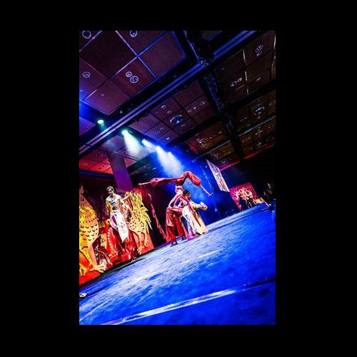 Dust Palace - Circus Theatre Company - Auckland