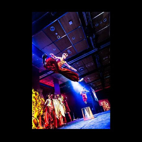 Dust Palace - Circus Theatre Company - Auckland