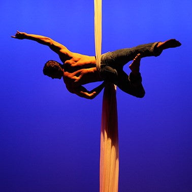 Dust Palace - Circus Theatre Company - Auckland