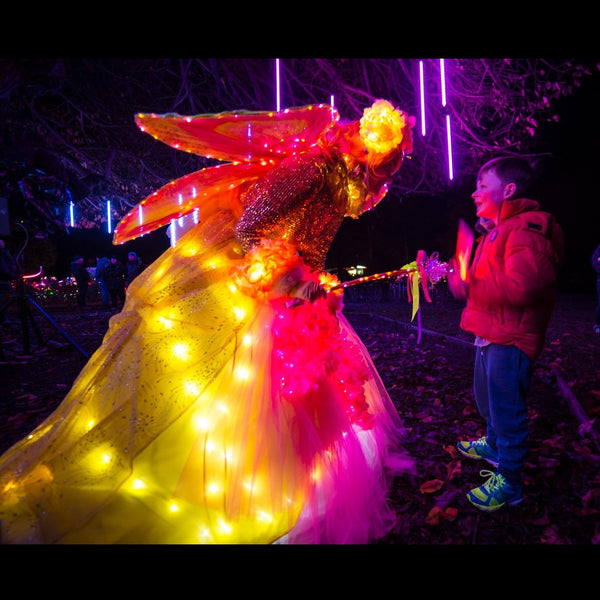 LED fairy Queenstown with very happy small child