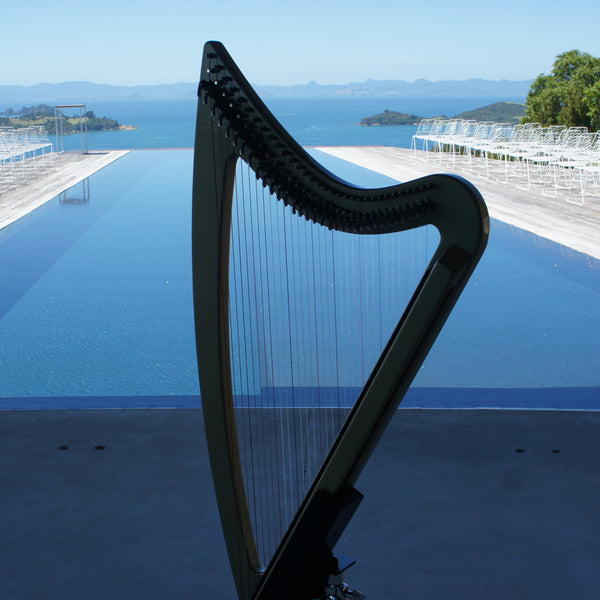 Harp at event by pool 