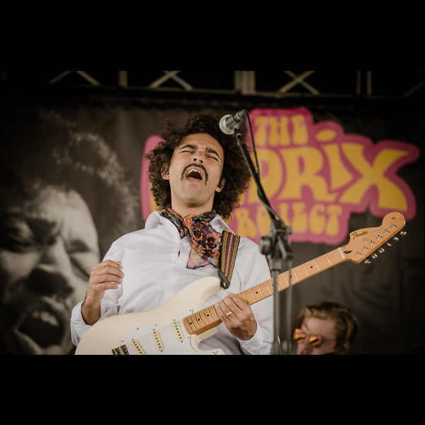Live show Hendrix Project Auckland