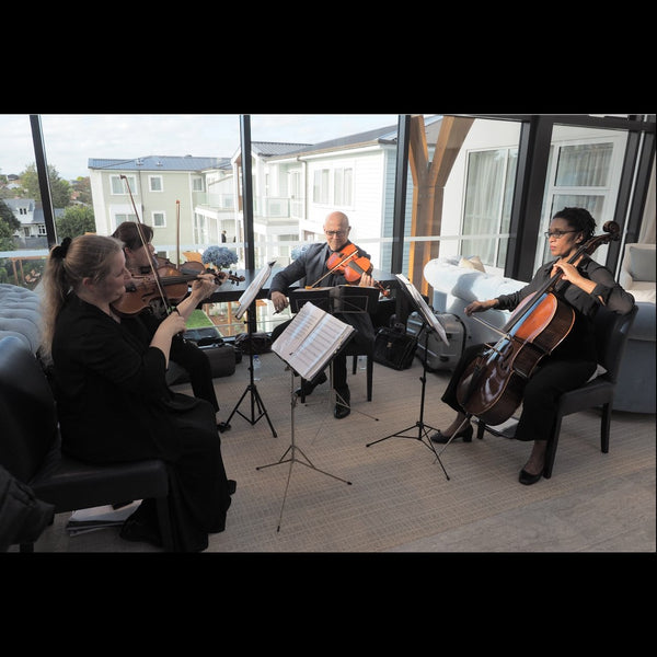 Nikau Strings - Classical String Group - Auckland