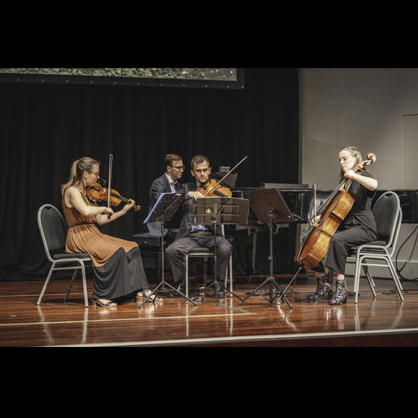 Owheo Quartet - Acoustic Covers String Quartet- Dunedin
