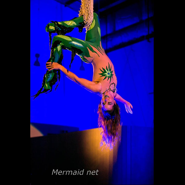 Pipi-Ayesha - Aerial Artist / Stilt Walker - Wellington