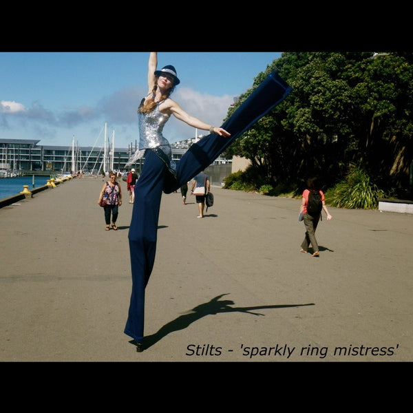 Pipi-Ayesha - Aerial Artist / Stilt Walker - Wellington
