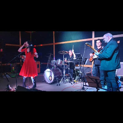 The Plymouth Furys - Rock n Roll Band - Auckland