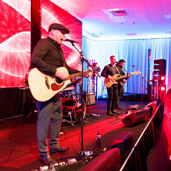 Them Lovely Rogues - Covers Band - Wellington