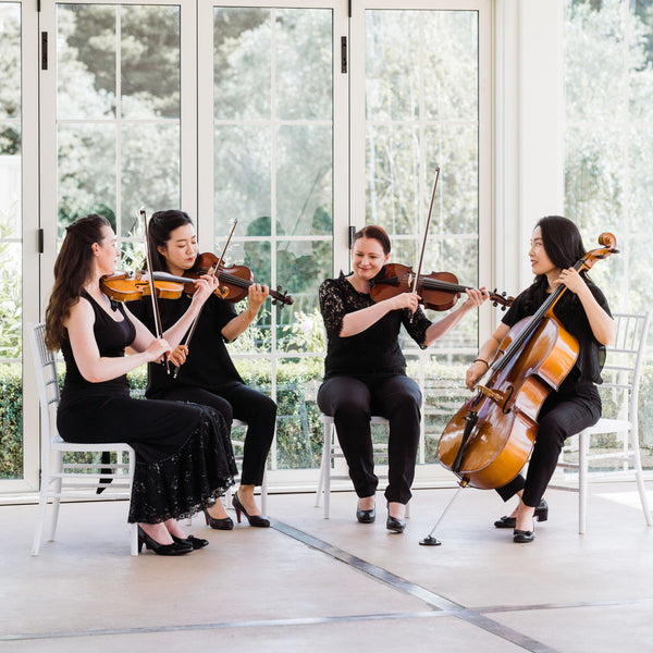 Zest String Quartet - String Quartet - Auckland