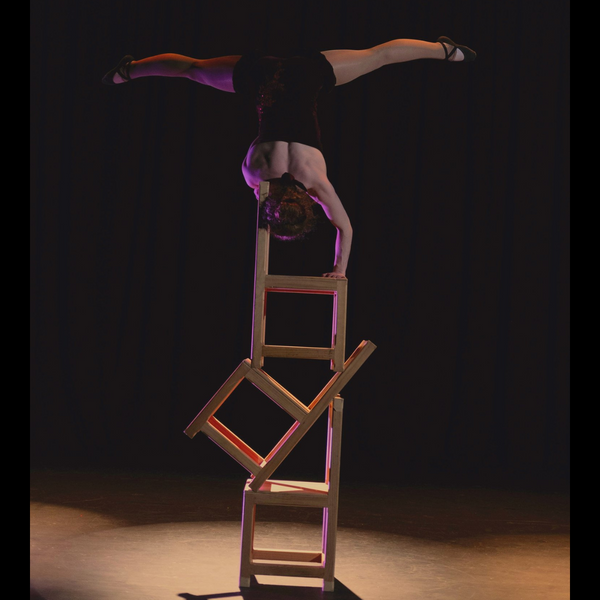 Black Sheep Circus - Circus Company - Raglan