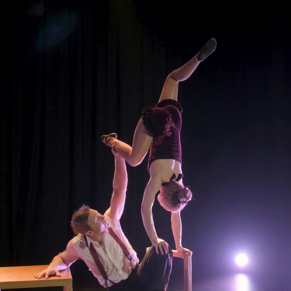 Black Sheep Circus - Circus Company - Raglan