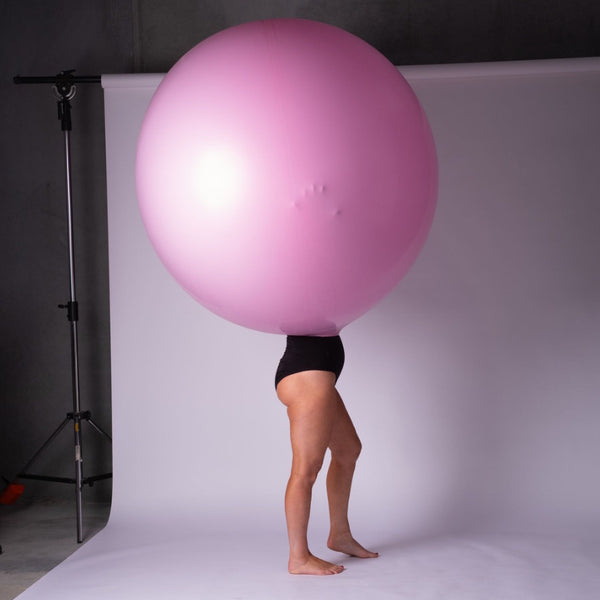 The Heidi and Sean Show - Circus - Napier