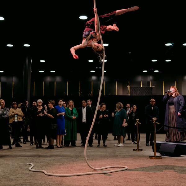 Imogen Stone - Aerial Circus and Variety Artist - Wellington