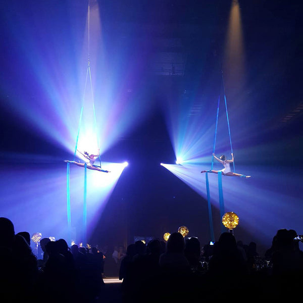 Imogen Stone - Aerial Circus and Variety Artist - Wellington