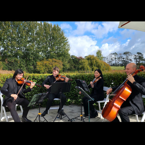 Salut String Quartet playing outdoors
