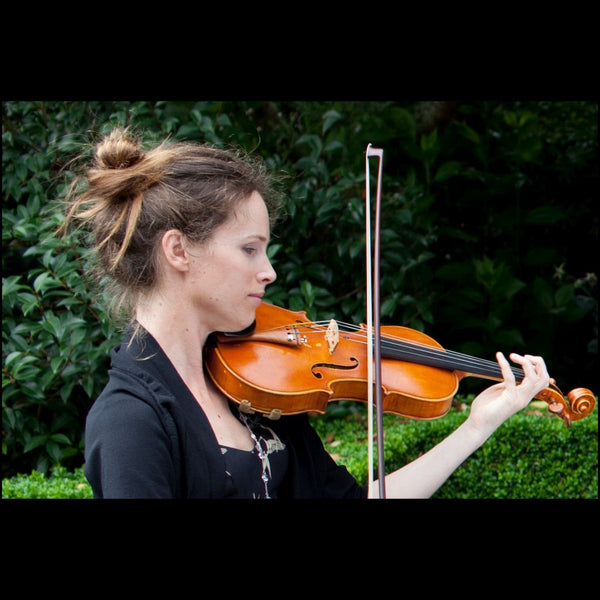 Stella Strings Solo Violin - Hamilton