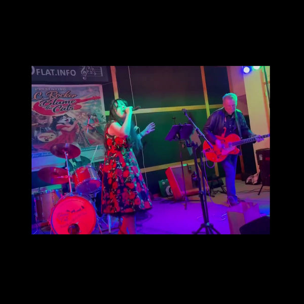 Blame the Cats - Rock n Roll Band - Auckland