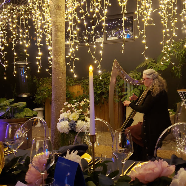 Harp music at event at Glasshouse Auckland