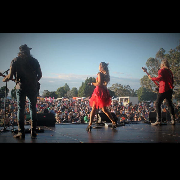 Monroes covers band Hamilton outdoor event stage shot