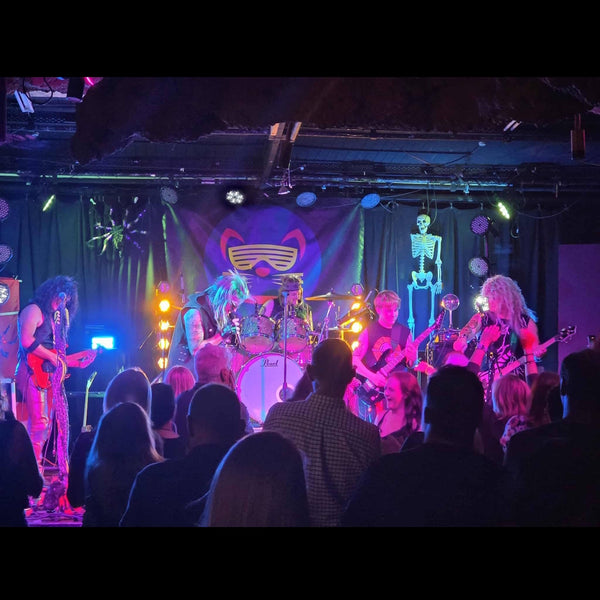 Viami Mice - 80's Tribute Band - Nelson