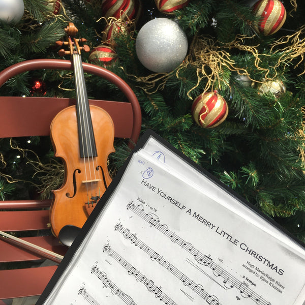 Zest String Quartet - String Quartet - Auckland