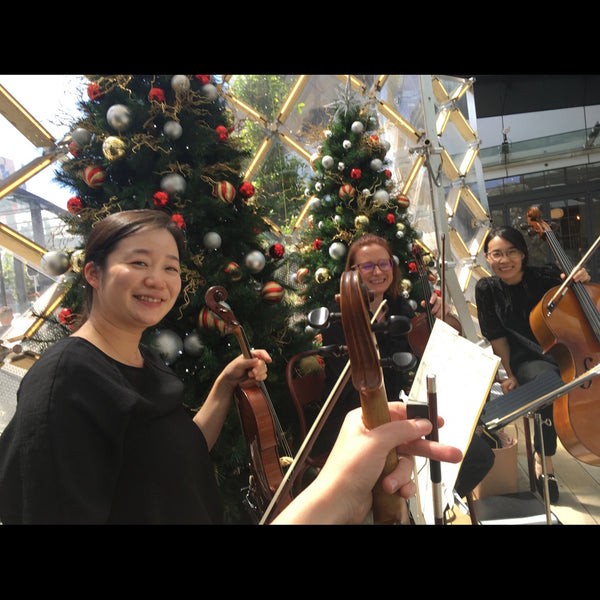 Zest String Quartet - String Quartet - Auckland
