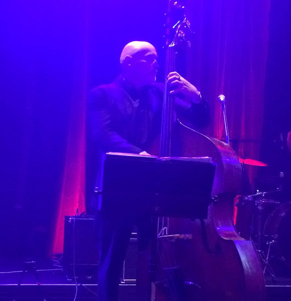 Pete McGregor double bass player playing live