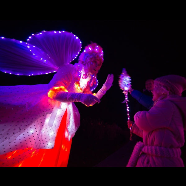 LED fairy at night event Queenstown