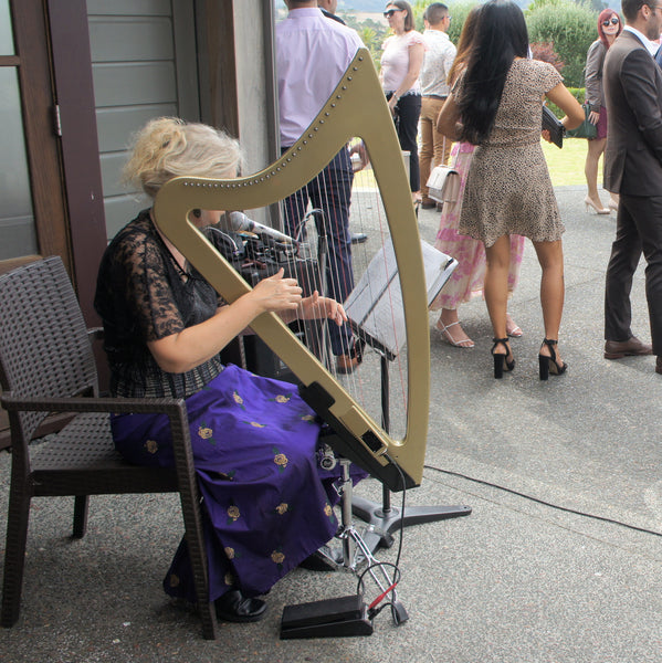 Harp and Voice covers at wedding South Auckland