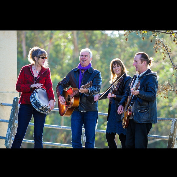 Hobnail Celtic Country folk band 