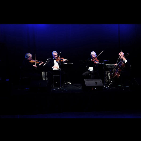 Intercity strings - string quartet playing live Christchurch