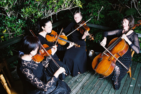 Nikau Strings - Classical String Group - Auckland