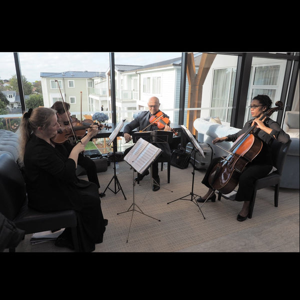 Nikau Strings - String Group - Auckland