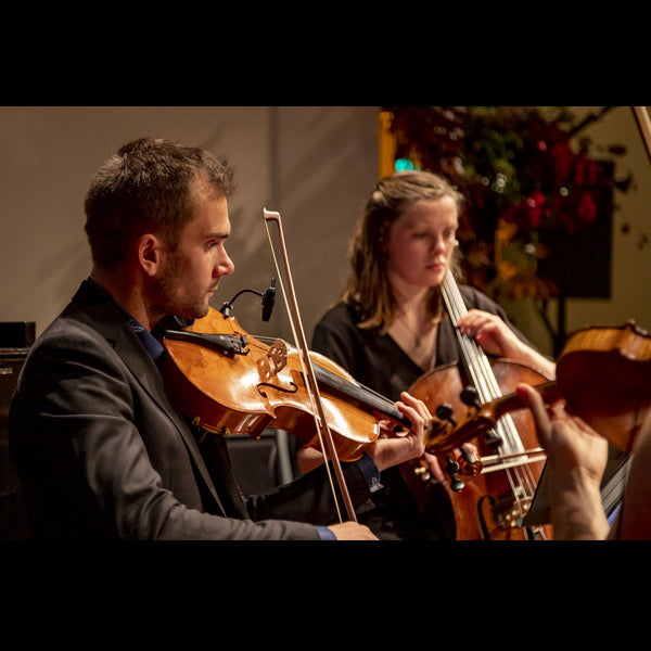 Owheo Quartet - Acoustic Covers String Quartet- Dunedin