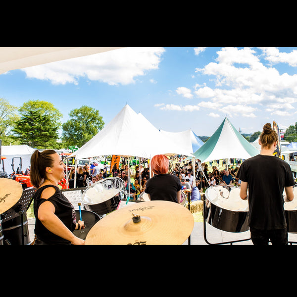 Steel n Beats- Steel Drum Group - Auckland