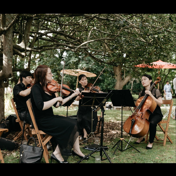 Zest String Quartet - String Quartet - Auckland